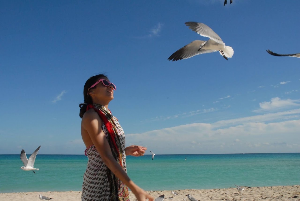 Retrato al aire libre en la playa con gaviotas en vuelo